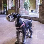 Il Chiostro Del Carmine فندق