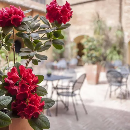 Il Chiostro Del Carmine Siena